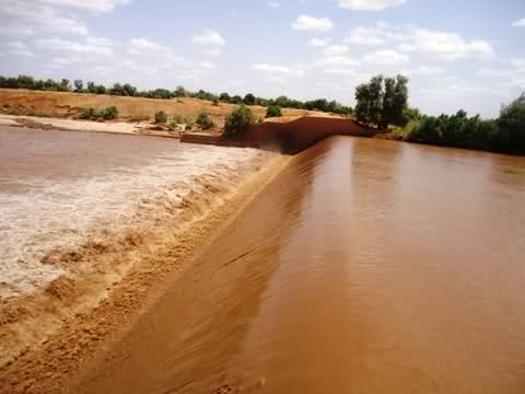 Shabelle River Nears Flood-Risk Level at Jowhar as Heavy Rains Loom ...