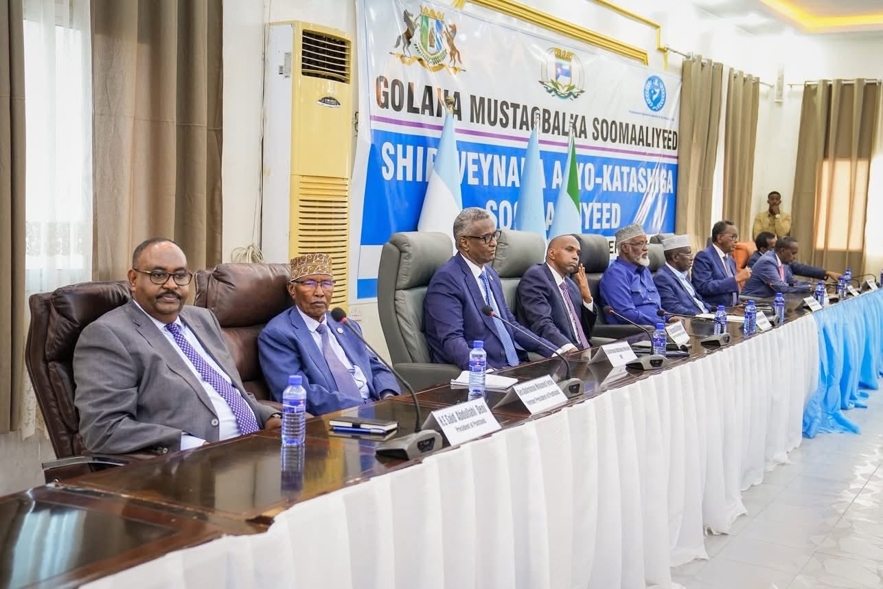 Somali Future Council Endorses Transitional Direct Election Hybrid Model